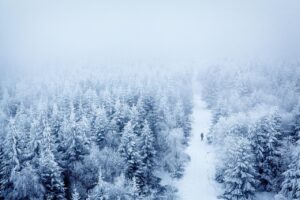 高所得者の子育てにおける孤独対策は何ですか？