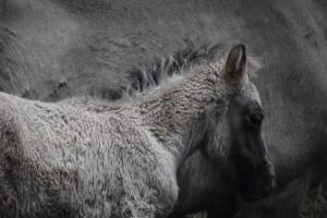 シングルファザーの生活が苦しいと感じる理由とは？